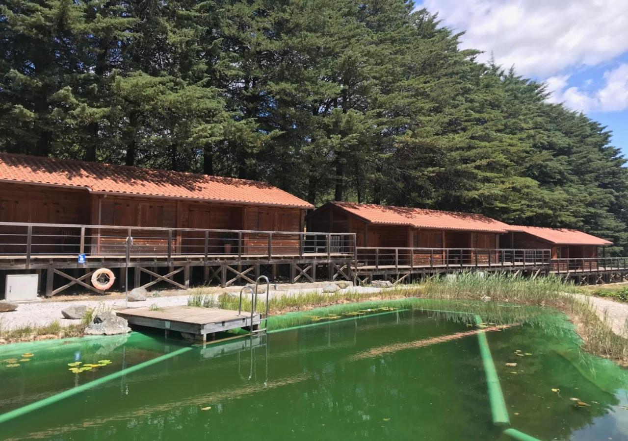 Parque Biologico De ビニャイシュ エクステリア 写真