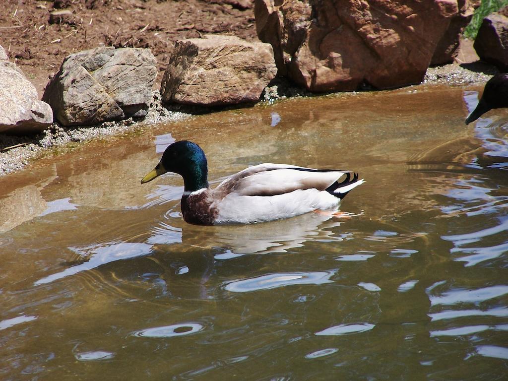 Parque Biologico De ビニャイシュ エクステリア 写真