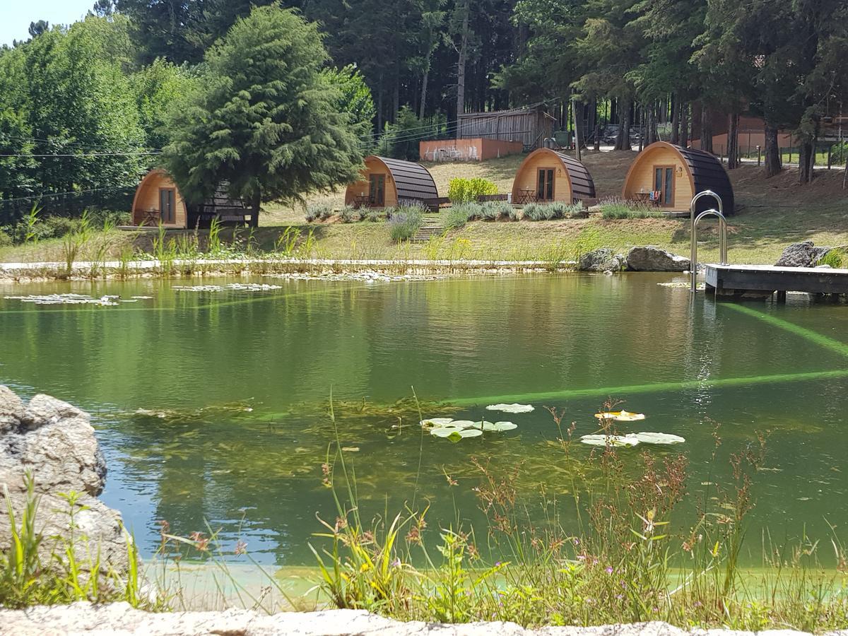 Parque Biologico De ビニャイシュ エクステリア 写真
