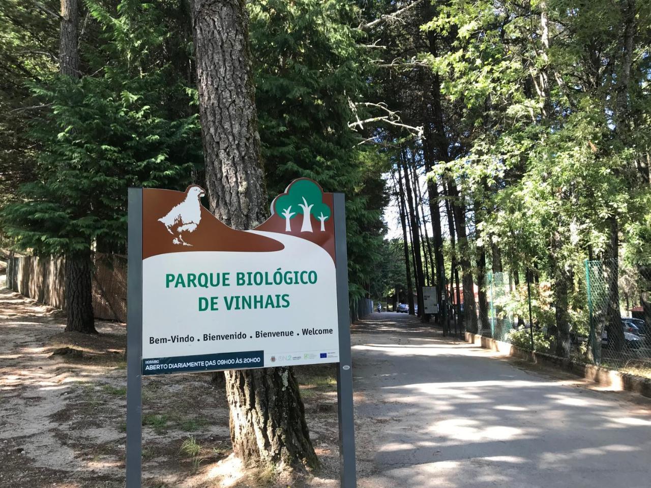 Parque Biologico De ビニャイシュ エクステリア 写真