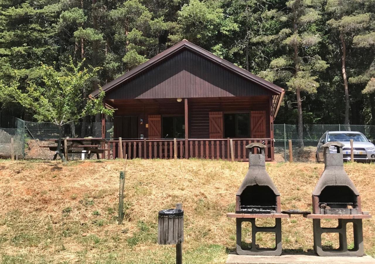 Parque Biologico De ビニャイシュ エクステリア 写真